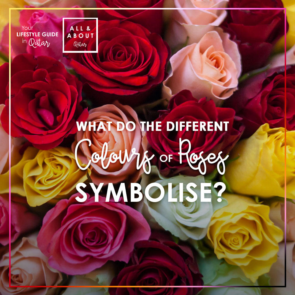 what-do-the-different-colours-of-roses-symbolise-all-about-your